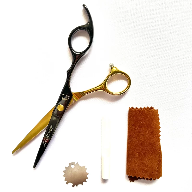 TIJERA PROFESIONAL ENTRE SECA 1